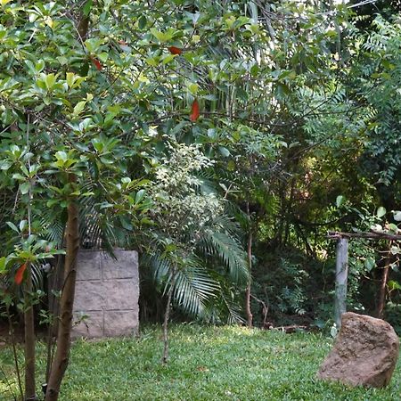 Sandra Guesthouse Dambulla Bagian luar foto
