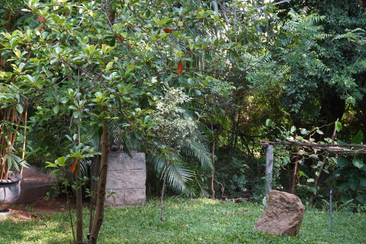 Sandra Guesthouse Dambulla Bagian luar foto