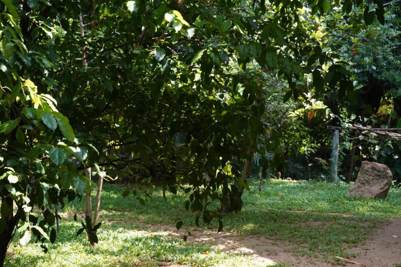 Sandra Guesthouse Dambulla Bagian luar foto