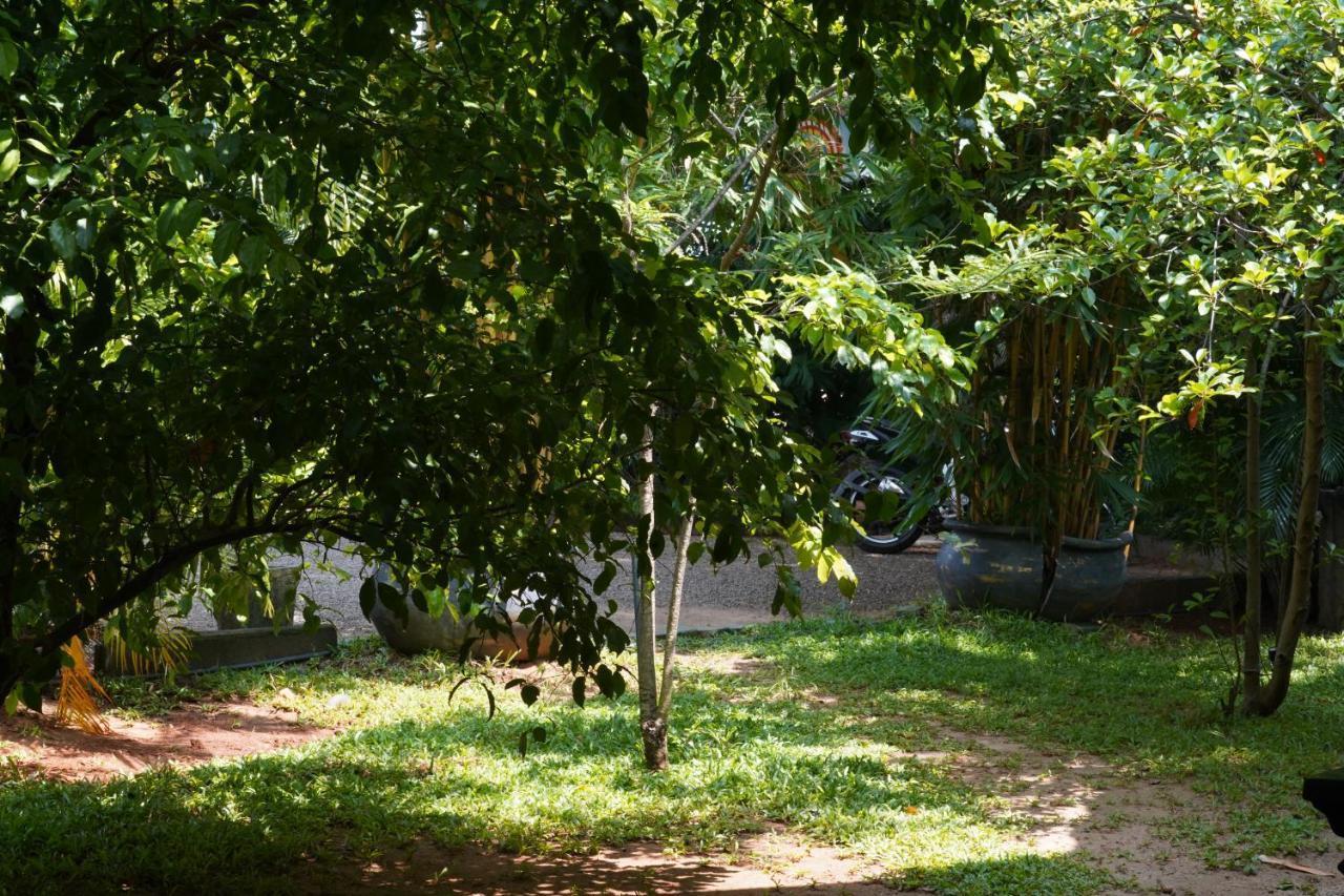 Sandra Guesthouse Dambulla Bagian luar foto