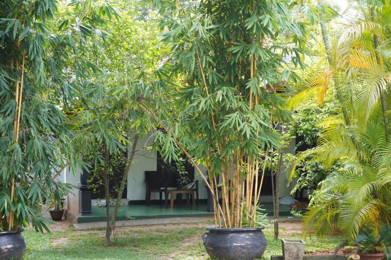 Sandra Guesthouse Dambulla Bagian luar foto
