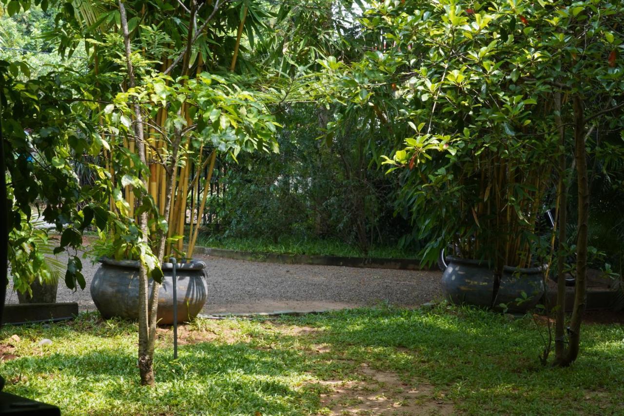 Sandra Guesthouse Dambulla Bagian luar foto