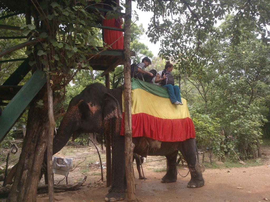 Sandra Guesthouse Dambulla Bagian luar foto